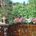 fewo_oben_balkon